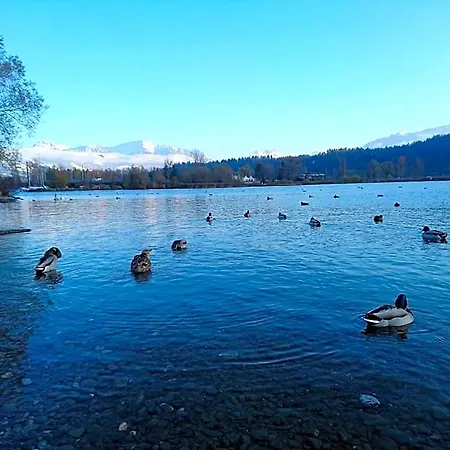 Herberg Zum Ochsen *