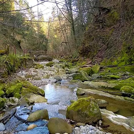 Herberg Zum Ochsen Neuhaus
