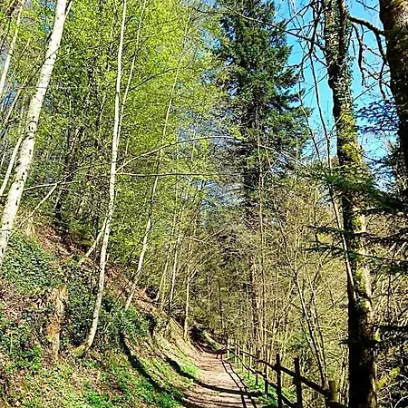 Värdshus Zum Ochsen *