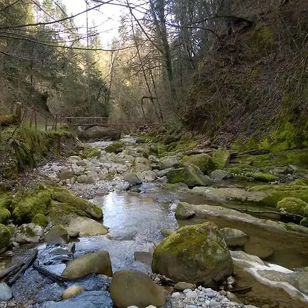 Han/Misafirhane Zum Ochsen *