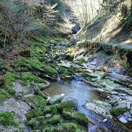 Zum Ochsen Mini-hôtel Neuhaus