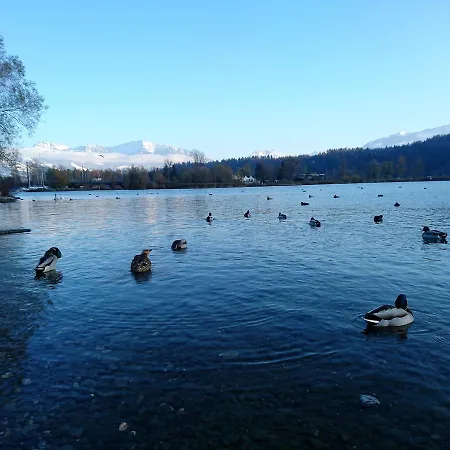 Han/Misafirhane Zum Ochsen