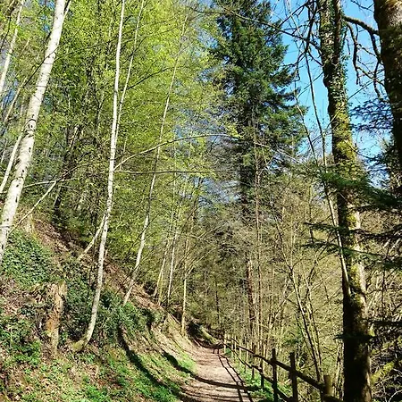 Zum Ochsen Zajazd Neuhaus