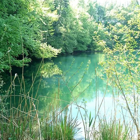 Zum Ochsen *