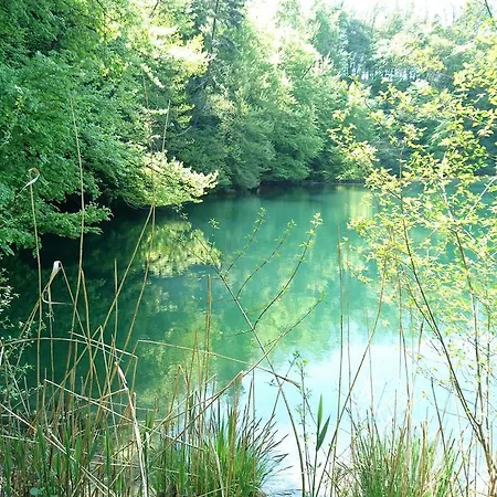 Zum Ochsen *