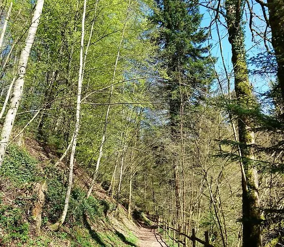 Zum Ochsen Locanda Neuhaus