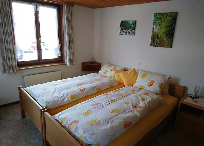 Zum Ochsen Locanda Neuhaus